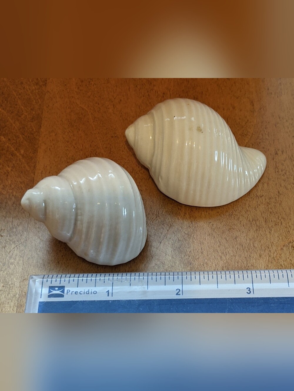 Ceramic Seashell Trinkets 🐚